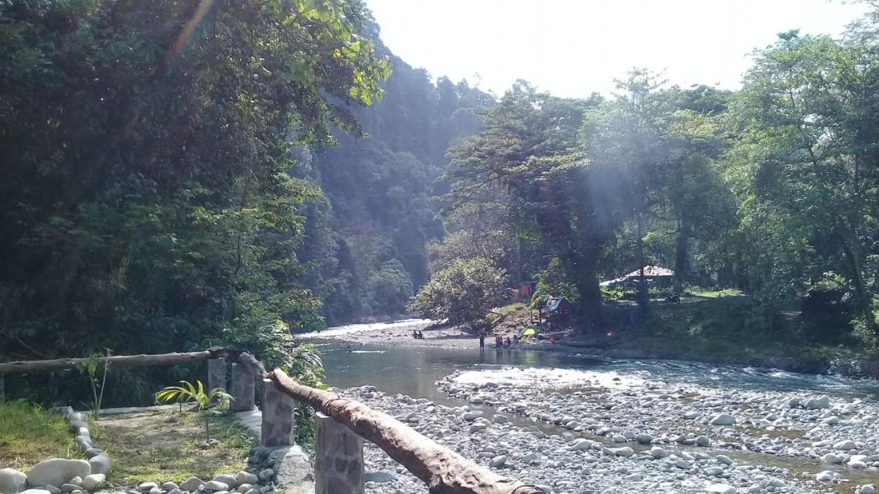 Rambai Tree Jungle Lodges Bukit Lawang Exterior foto